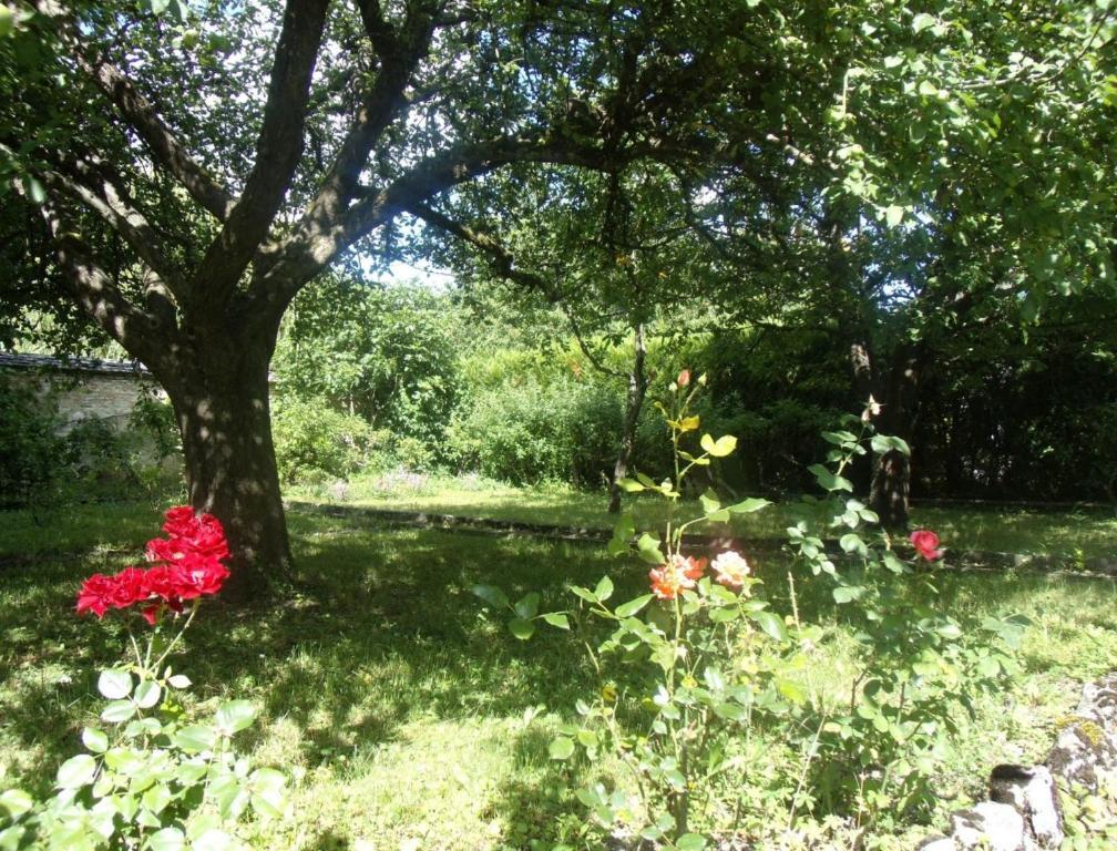 Le Grand Jardin Bed and Breakfast Beaune  Esterno foto